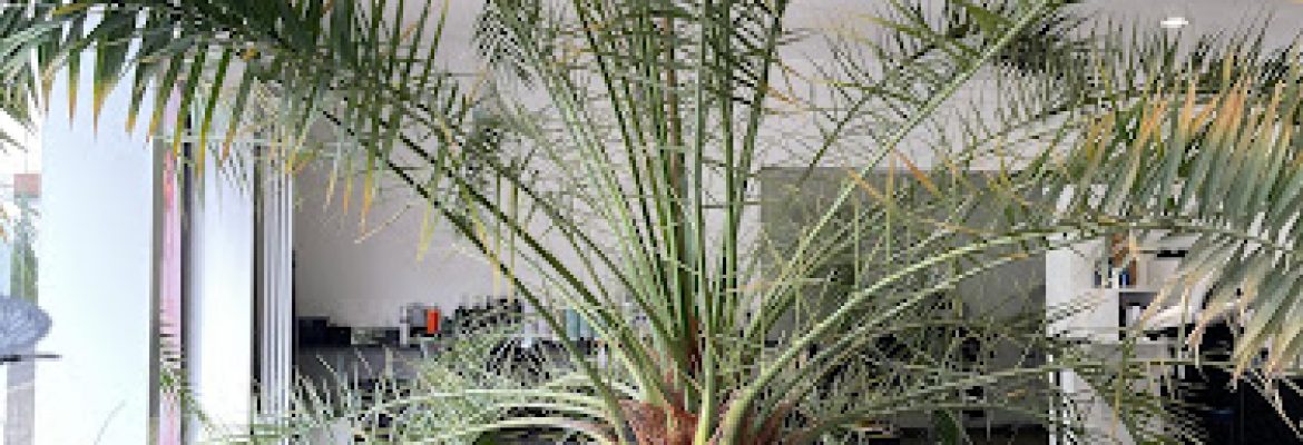 Susanne Becker Friseure